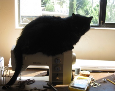 Scratchy on the Sewing Machine