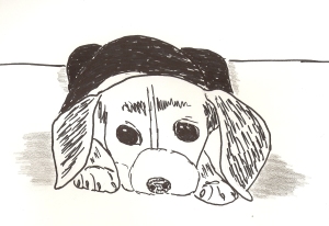 Puppy drawing