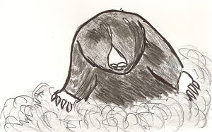 Drawing of a mole